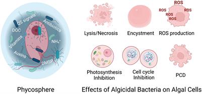 Algicidal Bacteria: A Review of Current Knowledge and Applications to Control Harmful Algal Blooms